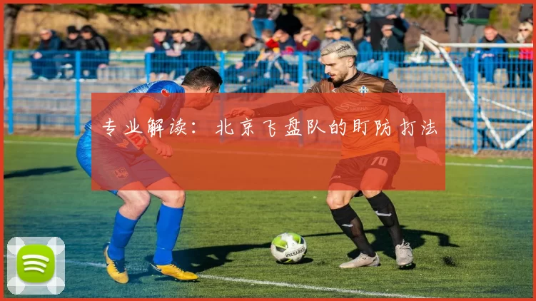 专业解读：北京飞盘队的盯防打法