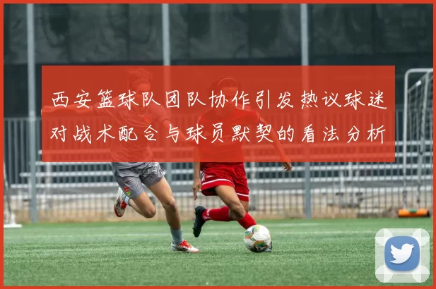 西安篮球队团队协作引发热议球迷对战术配合与球员默契的看法分析