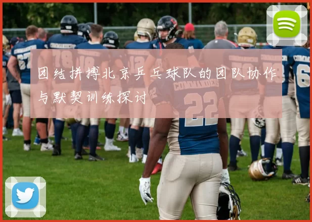 团结拼搏北京乒乓球队的团队协作与默契训练探讨
