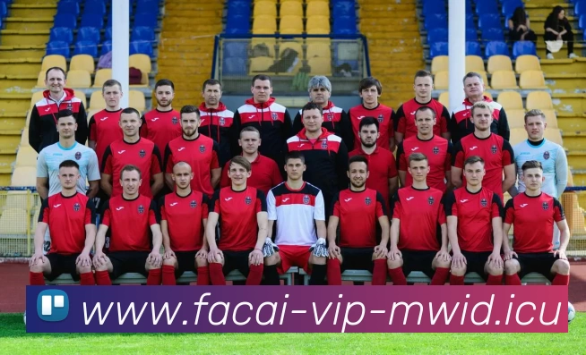 MK体育服务体系